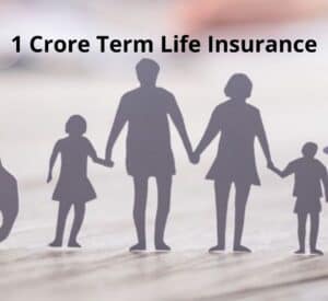 1 Crore Term Life Insurance in hindi